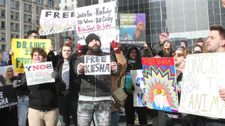 Judge Rules Kesha Is Still Contractually Tied to Dr. Luke, Despite Sexual Assault Claims